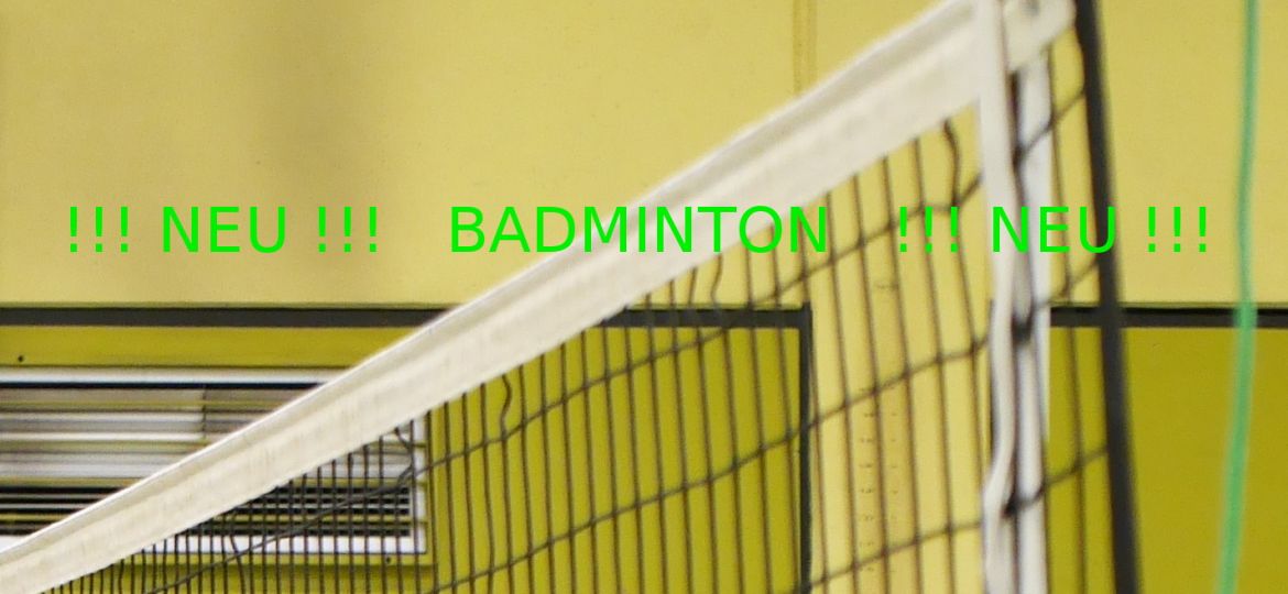 Badminton_P1240218_bearb